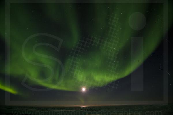 Aurora Borealis over Hudson Bay