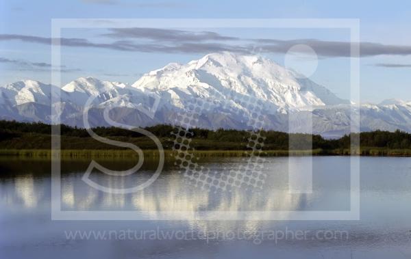 Denali and Reflection Pond