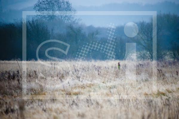 Frost Covered Field