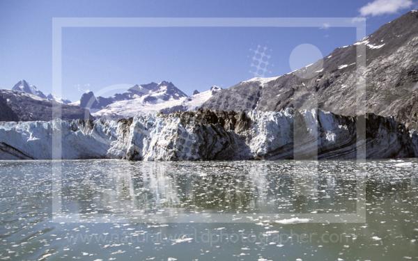 Johns Hopkins Glacier