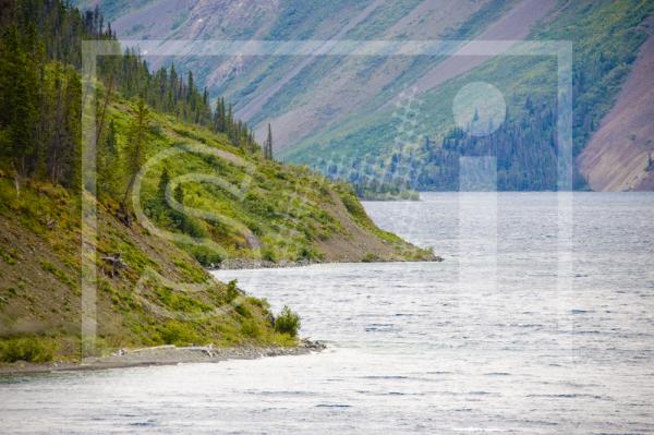 Kathleen Lake Shoreline