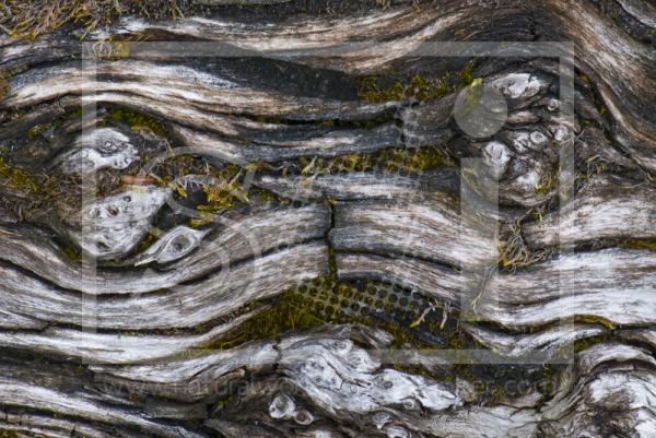 Log Abstract