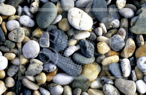 Marazion Beach