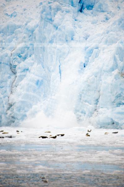 Meares Glacier Calving