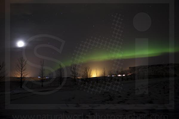 Northern Lights 4