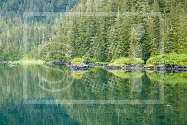 Prince William Sound Reflections