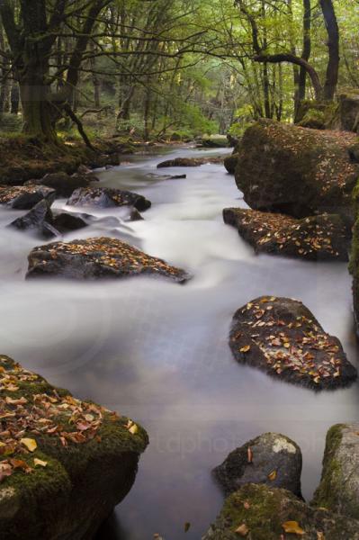 River Fowey