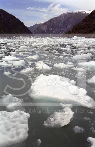 Tracy Arm Fjord