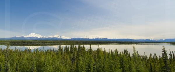 Wrangell Mountain Panoramic