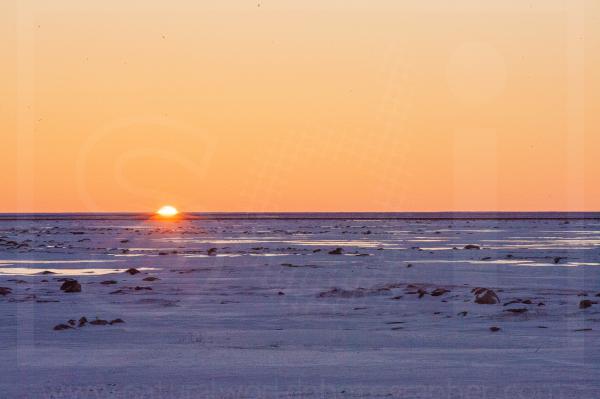 Tundra Sunset