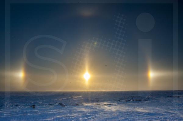 Arctic Sun Dogs